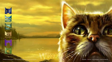 warriors cats oc generator